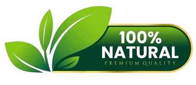 SEO Consulting Services